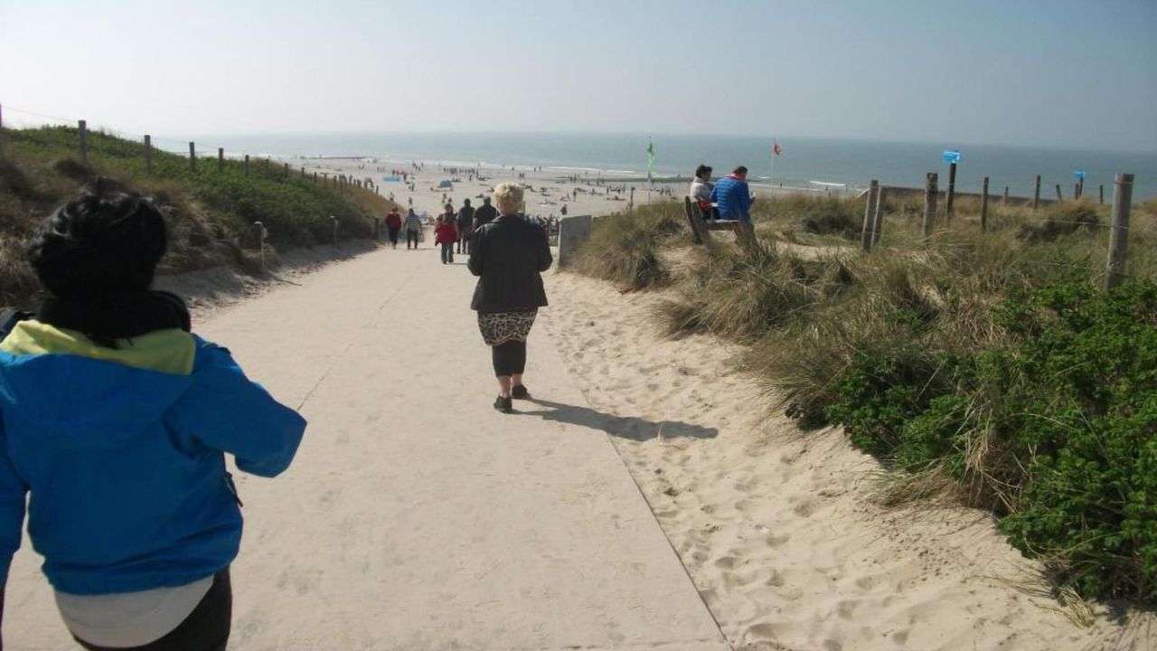 AreaSummer20KM AreaSummer20KM